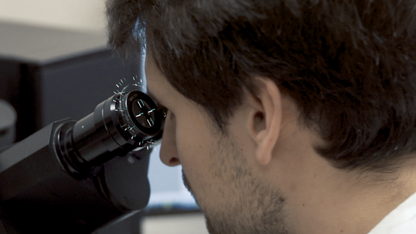 Contrôle.png Contrôle.png