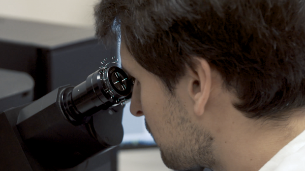 Contrôle.png Contrôle.png